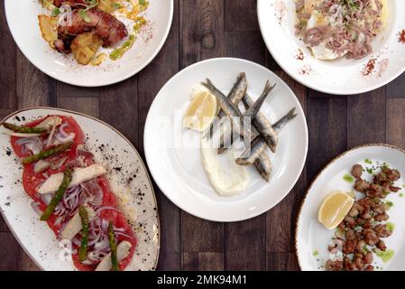 Großartige spanische Tapas mit gebratenen Sardellen mit Mayonnaise, gebratenen Criadillas, galicischem Kraken und Thunfisch-Bauch-Salat mit Tomaten und Zwiebeln Stockfoto