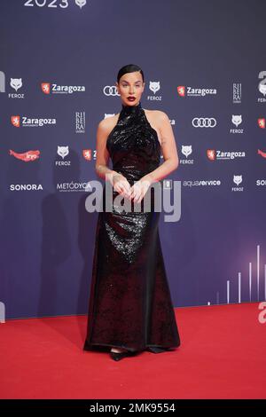 Saragossa, Spanien. 28. Januar 2023. Bei Fotoaufruf für die 10. Jährlichen Feroz Awards in Saragossa am Samstag, den 28. Januar 2023. Kredit: CORDON PRESS/Alamy Live News Stockfoto