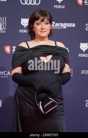 Saragossa, Spanien. 28. Januar 2023. Bei Fotoaufruf für die 10. Jährlichen Feroz Awards in Saragossa am Samstag, den 28. Januar 2023. Kredit: CORDON PRESS/Alamy Live News Stockfoto