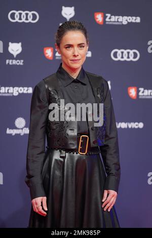 Saragossa, Spanien. 28. Januar 2023. Bei Fotoaufruf für die 10. Jährlichen Feroz Awards in Saragossa am Samstag, den 28. Januar 2023. Kredit: CORDON PRESS/Alamy Live News Stockfoto