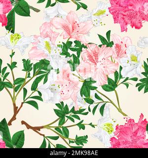 Nahtlose Textur Weiße und pinkfarbene Rhododendrons verzweigen Bergsträube Vintage Botanical Illustration Handzeichen Stock Vektor