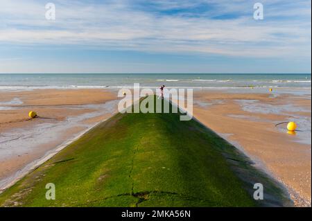 Frankreich, Calvados (14), Houlgate, Betonpipeline mit grauem Wasser am Strand bei Ebbe. Grüne Algen darauf notieren. Stockfoto