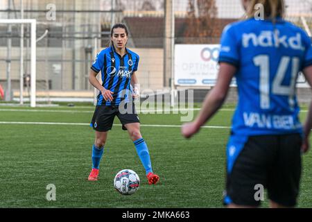 Aalter, Belgien. . 28. Januar 2023. Sejde Abrahamsson (2) aus Brügge, dargestellt während eines Fußballspiels zwischen Club Brügge Dames YLA und Eendracht Aalst am 18. Spieltag der Saison 2022 - 2023 der belgischen Lotto Womens Super League am Samstag, den 28. Januar 2023 in Aalter , BELGIEN . FOTO SPORTPIX | Stijn Audooren Kredit: David Catry/Alamy Live News Stockfoto