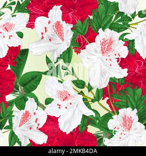 Nahtlose Struktur Blumen rote und weiße Rhododendrons Zweige natürlicher Hintergrund Vintage-Vektor-Illustration editierbar Handzeichnen Stock Vektor