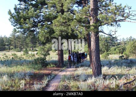 Soldaten, die 52. Brigaden-Ingenieurbataillon, 2. Stryker-Brigaden-Kampfteam, 4. Infanterieabteilung, Wanderung als Teil des Juniorführertrainings, August 18, an der United States Air Force Academy, Colorado Ziel der Veranstaltung war es, das Bewusstsein für ein Thema zu schärfen, das in formellen Militärschulen selten diskutiert wird. USA Armeefoto um 1. Uhr. Leutnant Paul Kavoossi Stockfoto