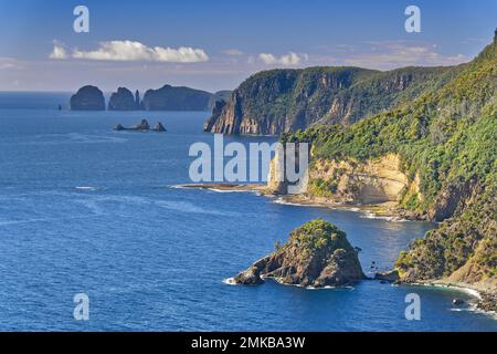 Blick auf die steilen Klippen und das ruhige blaue Meer in Waterfall Bay, Tasman-Nationalpark, Tasmanien, Australien Stockfoto