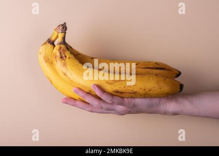 Drei reife gelbe Bananen in Frauenhand auf beigem Hintergrund. Weibliche Hand und Bananen. Stockfoto