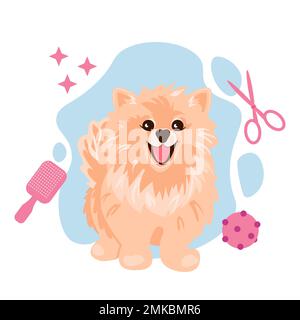 Ein süßer, cremefarbener spitz-Hund, der sitzt und lächelt. Körperpflege-Salon-Konzept Stock Vektor