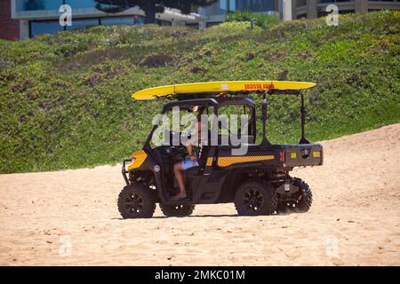 Australian Surf Rescue Freiwilliger fährt Surf Rescue Beach Buggy Car mit Surfbrettern, North Narrabeen Beach, Sydney, NSW, Australien Stockfoto