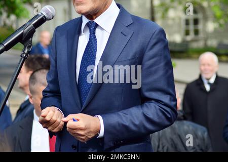 Die Menge nimmt an einem politischen Treffen Teil. Eine große Gruppe von Menschen als Zuschauer für die Rede eines Politikers im Freien auf der Großleinwand. Stockfoto