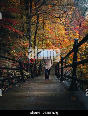 Wunderschöner Blick auf den Mont-Royal Park in der Herbstsaison Stockfoto
