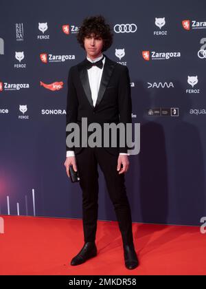 Saragossa, Spanien. 28. januar 2023. Die „Feroz Awards“-Gala wurde in der Stadt Saragossa veranstaltet, wo der Verband der kinematografischen Informanten Filme, Schauspieler, Schauspielerinnen und Filmprofis auszeichnet. Sie haben die Anwesenheit von Hunderten von Schauspielern, und der Ehrenpreis geht an Pedro Almodovar. Juan Antonio Perez/Alamy Live News Stockfoto