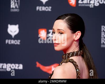 Saragossa, Spanien. 28. januar 2023. Die „Feroz Awards“-Gala wurde in der Stadt Saragossa veranstaltet, wo der Verband der kinematografischen Informanten Filme, Schauspieler, Schauspielerinnen und Filmprofis auszeichnet. Sie haben die Anwesenheit von Hunderten von Schauspielern, und der Ehrenpreis geht an Pedro Almodovar. Juan Antonio Perez/Alamy Live News Stockfoto