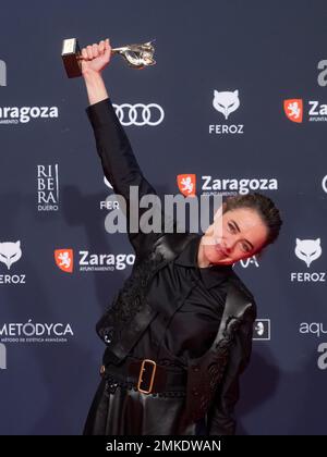 Saragossa, Spanien. 28. januar 2023. Die „Feroz Awards“-Gala wurde in der Stadt Saragossa veranstaltet, wo der Verband der kinematografischen Informanten Filme, Schauspieler, Schauspielerinnen und Filmprofis auszeichnet. Sie haben die Anwesenheit von Hunderten von Schauspielern, und der Ehrenpreis geht an Pedro Almodovar. Juan Antonio Perez/Alamy Live News Stockfoto