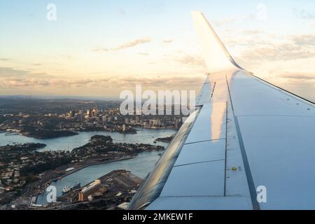 Blick auf Sydney aus der Vogelperspektive vom Fensterplatz im Flugzeug Stockfoto