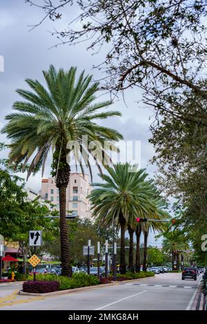 Coral Gables, FL, USA - 28. Januar 2023: Foto von Geschäften und Restaurants in Miami auf dem Coral Way Stockfoto