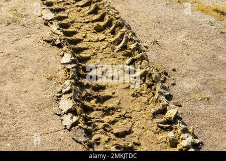 Tiefe Spuren von Traktorreifen im Sand. Beschädigte Straße nach Regen Stockfoto