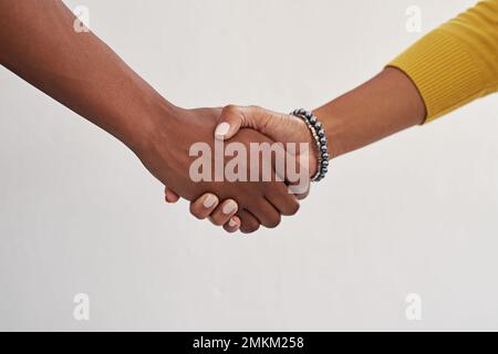 Gleichermaßen in den Erfolg investiert. Kollegen, die sich die Hand schütteln. Stockfoto