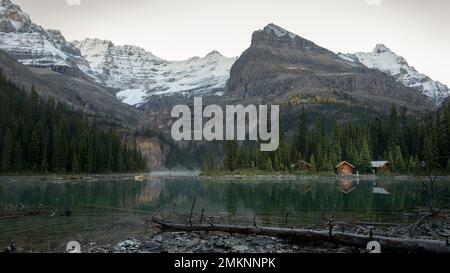 Morgennebel am Lake O'Hara, Yoho National Park, British Columbia, Kanada. Stockfoto