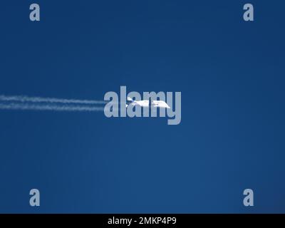 Airbus Beluga Flugzeuge fliegen in großer Höhe an einem klaren blauen Himmel mit Kondensstreifen Stockfoto