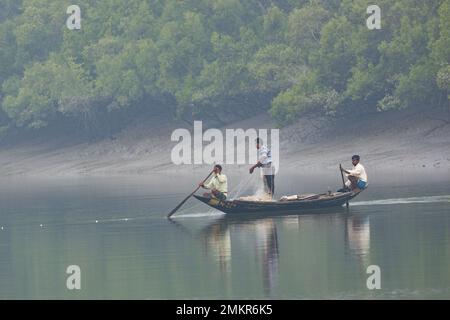 Fischer, die von ihrem Boot aus in Sunderbans (Westbengalen, Indien) fischen Stockfoto