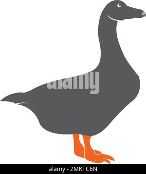 design-Vorlage für vektordarstellung mit swan-Logo Stock Vektor