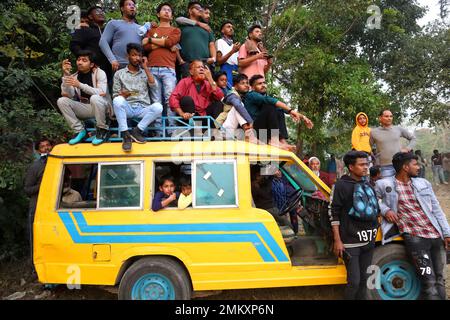 Nawabgonj, Dhaka, Bangladesch. 29. Januar 2023. Die Besucher genießen das Kuhjagd-Festival von der sicheren Position auf dem Dach eines Autos in Nawabganj, Dhaka. Die Kuhjagd ist in vielen Dörfern Bangladeschs ein traditioneller Sport. Hier binden viele Leute ein großes Seil um den Hals des Stiers, halten es zusammen und erregen den Stier mit Stöcken, rotem Stoff und berstenden Crackern. Die Leute auf beiden Seiten jagten die Kuh schreiend. In der Mitte des Feldes ließen die Leute das Seil los und liefen der Kuh hinterher. . Kredit: ZUMA Press, Inc./Alamy Live News Stockfoto