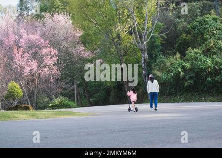 Süßes kleines Mädchen, das an einem Sommertag mit seiner Mutter auf einem Roller im Park unterwegs ist. Die Familie verbringt Zeit zusammen im Urlaub. Stockfoto