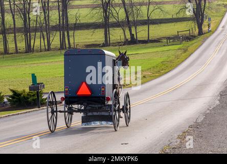 Ein Blick auf ein Amish-Pferd und einen Buggy, die an einem Dezembertag auf einer Landstraße einen Hügel hinunterfahren Stockfoto