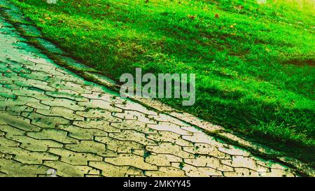 Sommer Morgen warme Sonne reflektiert Fußweg Garten Pflastersteine Landschaft Landschaftsstruktur Fußgängerweg Grüngras wächst neben Fliesen diagonal Stockfoto