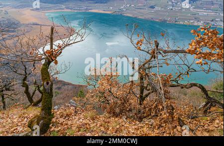 Caldaro See: Panoramablick auf den wunderschönen See in der Wintersaison. Caldaro in Südtirol, Provinz Bozen, Trentino Alto Adige, Norditalien Stockfoto