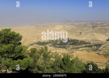 Das Tal des Moses Spring (Wadi Ayun Musa), vom Mount Nebo Jordan aus gesehen, Naher Osten Stockfoto