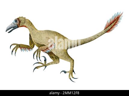 Velociraptor-Aquarell-Illustration läuft. Prähistorischer Dinosaurier mit Federn auf weißem Hintergrund. Stockfoto