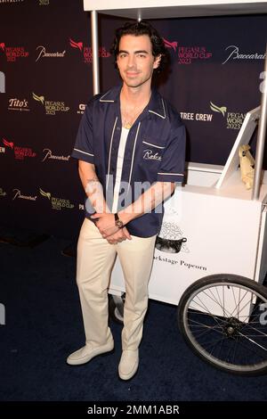 HALLANDALE BEACH FL - 28. JANUAR: Joe Jonas nimmt an der Pegasus Weltmeisterschaft 2023 Teil, die Baccarat am 28. Januar 2023 im Gulfstream Park in Hallandale Beach, Florida, präsentiert. Kredit: mpi04/MediaPunch Stockfoto