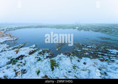 Wasser vom schmelzenden Schnee auf einem ländlichen Feld, Blick an einem nebligen Tag, Czulczyce, Lubelskie, Polen Stockfoto