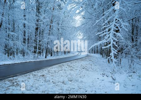 Asphaltstraße durch den Wald in Winterlandschaft, Ostpolen Stockfoto