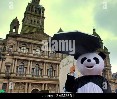 Glasgow, Schottland, Vereinigtes Königreich 29. Januar 2023. Das Jahr der Rabbit-Feier geht weiter, während die chinesische Gemeinde im Stadtzentrum auf dem George Square eine Show veranstaltete, während die Einheimischen mitmachen. Credit Gerard Ferry/Alamy Live News Stockfoto