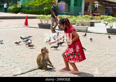 Besucher der Batu-Höhlen füttern die wilden Affen und Golbei auf dem Platz am Eingang zum Tempel. Kuala Lumpur, Malaysia - 11.09.2022 Stockfoto