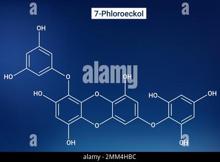 Die chemische Struktur von 7-Phloroeckol Stock Vektor