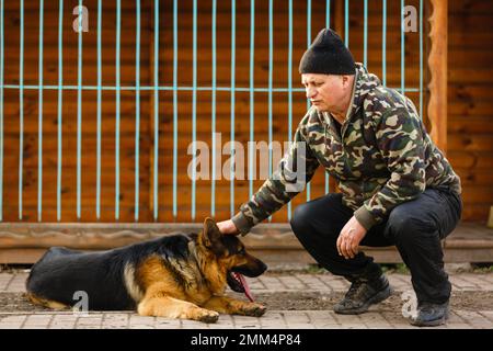 Deutscher Schäferhund in der Ausbildung Stockfoto