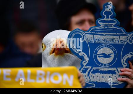 Brighton, Großbritannien. 29. Januar 2023. Ein Brighton-Fan beim FA Cup der vierten Runde zwischen Brighton & Hove Albion und Liverpool im Amex am 29. 2023. Januar in Brighton, England. (Foto von Jeff Mood/phcimages.com) Kredit: PHC Images/Alamy Live News Stockfoto