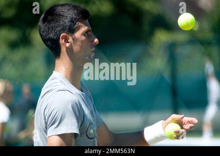 Novak Djokovic Stockfoto