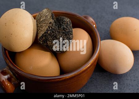 Trüffelei mit einer Knollenmelanosporum-Wintertrüffel Stockfoto