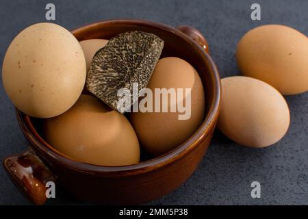 Trüffelei mit einer Knollenmelanosporum-Wintertrüffel Stockfoto