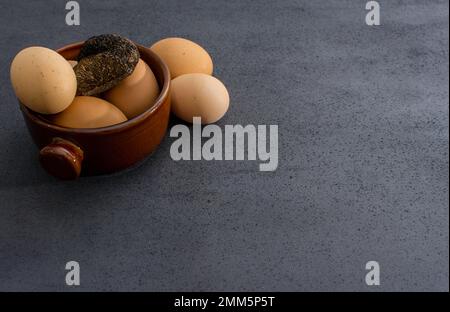 Trüffelei mit einer Knollenmelanosporum-Wintertrüffel Stockfoto