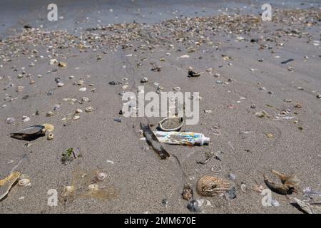 Gebrauchte Tooothpaste Rohr auf Muscheln Strand Ökosystem, Meeresküste Verschmutzung verworfen Kontamination Stockfoto