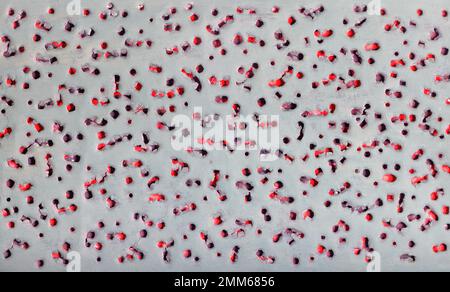 Gerissene Löcher auf einer grauen Leinwand auf einer roten Unterlage. Abstrakte Textur und Hintergrund. Stockfoto