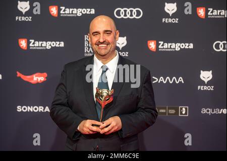 X edición de los Premios Feroz celebrados el pasado 28 de enero en Zaragoza, España. Lo mejor de la producción audiovisuelles española del año. Stockfoto