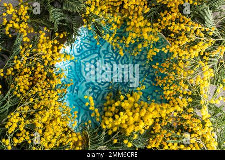 Mimosablüten im Rahmen Stockfoto
