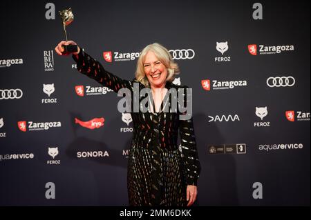 X edición de los Premios Feroz celebrados el pasado 28 de enero en Zaragoza, España. Lo mejor de la producción audiovisuelles española del año. Stockfoto